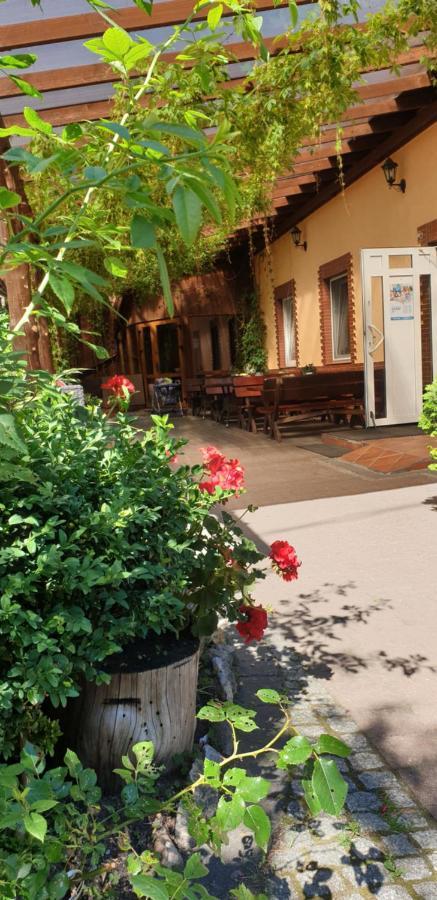 Siedlisko Pod Debem Hotel Wilimy Екстериор снимка