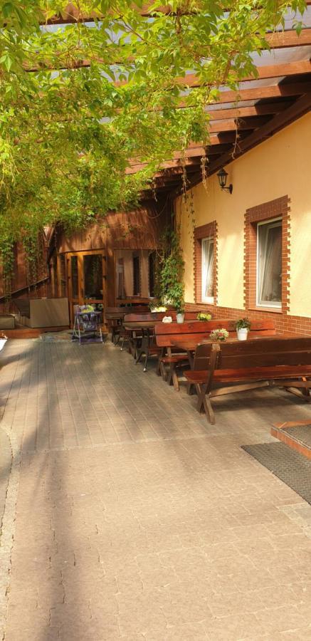 Siedlisko Pod Debem Hotel Wilimy Екстериор снимка